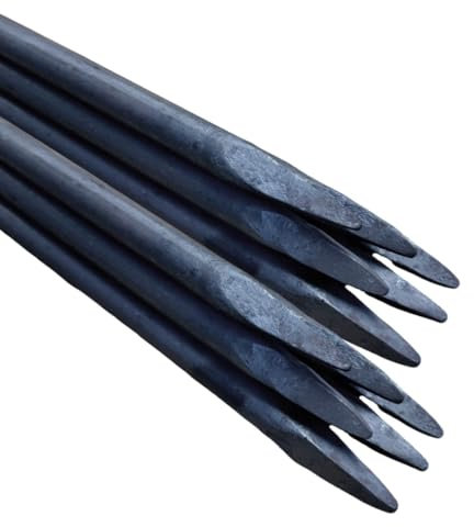 Ferropro 10 Stück Schnureisen 100CM Ø18mm aus Baustahl – Robuster Schnurnagel mit geschmiedeter Spitze, ideal für Baustellen, Gartenbau, Pflasterarbeiten, Schnurgerüste, Schalungsstütze