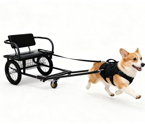 Hundvagn med säte stor hundvagn/hundtrailer för transport, jogging och shopping robust vagn med luftdäck och säkerhetskoppel för hundar upp till 60 kg (storlek: 10–40 kg/22–88 lb)