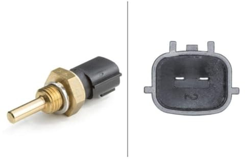 HELLA 6PT 009 107-531 Sensor, temperatura del refrigerante - 2polos - con junta