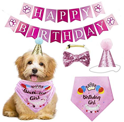 RUIXIA 4 Stück Hund Geburtstag Partyhut Kopftücher Banner Set, Haustier Geburtstagsset Caps Dreieckstuch Wiederverwendbare Pailletten Headwear Bowknot Party Kostüm für die Meisten Hunde Katzen
