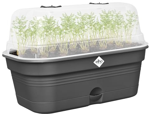 elho Green Basics Anzucht Schale Allin 1 M - Living Schwarz | L 18 x B 32 x H 13.2 cm | Integrierter Untersetzer | 100% recyceltes Plastik