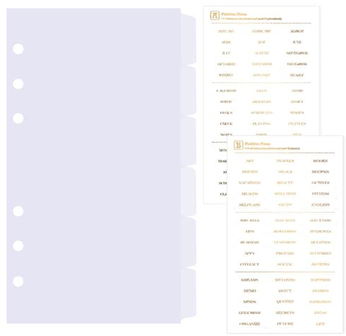 DY.2ten Divisores transparentes para carpeta de 6 anillos, separadores de plástico resistente de 6 pestañas, divisor de índice A6, separadores de carpeta de 6 agujeros, separadores de pestañas