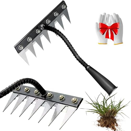 Générique Râteau de désherbage en Fer pour Jardinage – Râteau Robuste à Dents en Acier Carbone – Outil Polyvalent pour désherber, ameublir la Terre et Entretenir Le Jardin – avec Gants (5 Dents)
