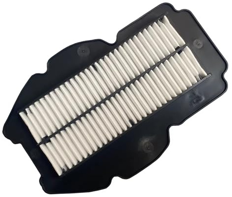 MTNDUYGV Filtros de Filtro de Aire de Motocicleta para HYOSUNG para GV650 GV 650 QH650 Limpiador De Filtro De Aire De Motor De Motocicleta 650cc