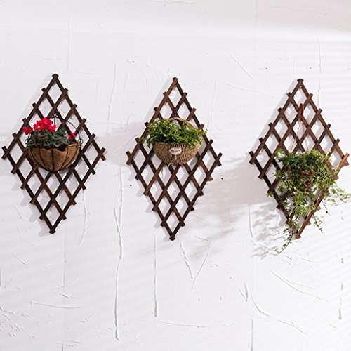 Generisch pflanzenständerHeimdekoration Wand-Blumenregal, Balkon-Wandbehang-Pflanzenregale, Hängesets mit 1 Wand-Blumentopfregal, Ausstellungsständer (Größe: 65 x 65 cm)