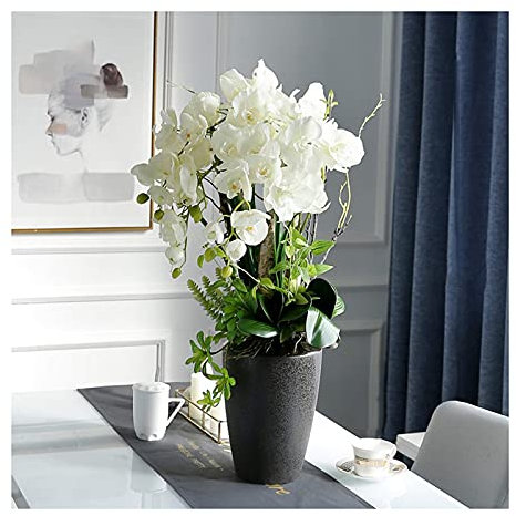 Kiaoeiuyti Fleurs artificielles bonsaï Floral de Grande Taille, Centre de Table orchidées Phalaenopsis en Pot avec Vase en céramique, Arrangement de Fleurs Phalaenopsis pour fête de Mariage pour la