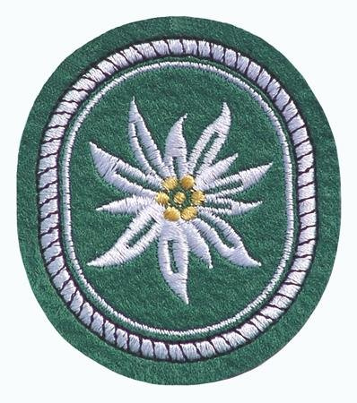 Stoffabzeichen Bundeswehr Gebirsgjäger - Edelweiß