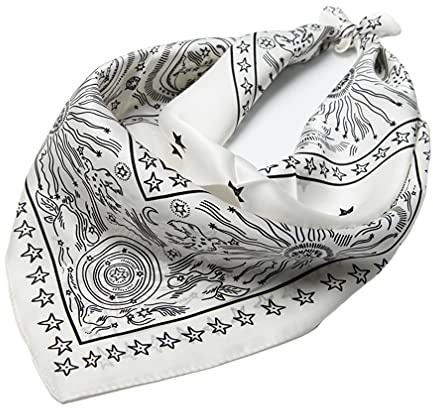 UK_Stone Herren 100% Seide Bandana Halstuch Krawatte Anzug Taschenhandtuch 50 * 50cm