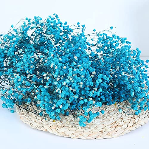 YIWOYI - Ramo de flores secas naturales Gypsophila Paniculata preservadas para decoración del hogar y fiestas de boda (azul marino, 40-55 cm, 80 g)