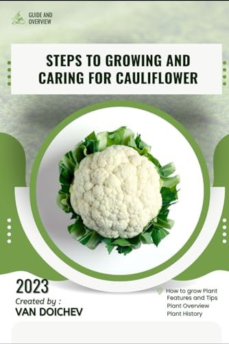 Steps to growing and caring for cauliflower: Guide and overview