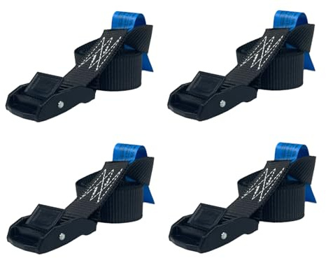 Lasiprofi Klemmschlossgurt 25mm im Set 2m/4m | Farbe schwarz | 1-teilig | Klemmschloss zur Ladungssicherung | Spanngurt für Pkw und Anhänger (4,0 m - Set 4)