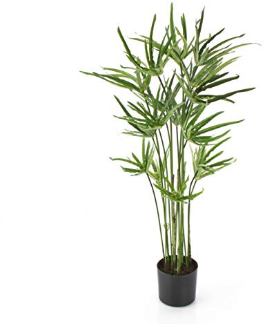 artplants.de Pianta di papiro Decorativa, 80cm