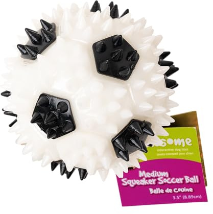 Gnawsome 3.5” Squeaker Soccer Ball Dog Toy - Medium, Promotes Dental and Gum Health for Your Pet, Colors Will Vary, All Breed Sizes