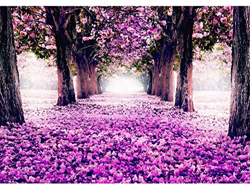 Runa Art Papel tapiz fotográfico parque Forestal 352 x 250 cm Lana Fondo De Pantalla XXL Moderna Decoración De Pared Sala Cuarto Oficina Salón Violeta 9003011b