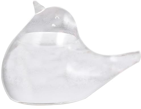 Xrten Prédicteur Météo en Verre de Tempête, Prédicteur Météo en Forme D'oiseau Verre de Tempête pour Cadeau de Décoration Intérieure