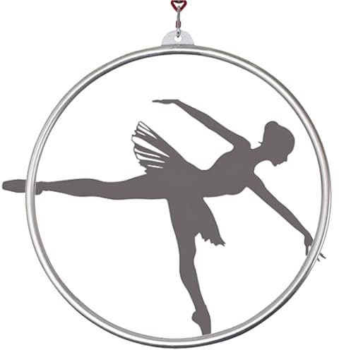 Quixnova 90cm Aerial Hoop Set Edelstahl Single Point Aerial Hoop Ausrüstung, Zirkus Hoop für Tanzstudio, Aerial Fitness,2.5cm