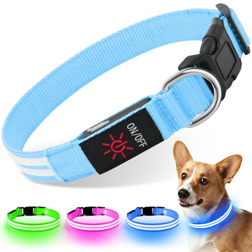 Leuchthalsband Hund - Weesiber Hundehalsband Leuchtend Aufladbar, LED Halsband für Hunde, Wasserdicht und Verstellbar leuchtband Hund mit 3 Lichtmodi für Kleine Mittlere Große Hunde (Blau, S)