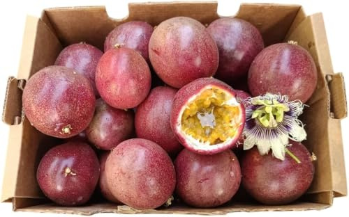 Vitalem Maracuyá Fresca 1,5 kg | 12-20 Piezas | Natural y Cultivo de Málaga