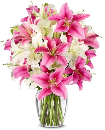 From You Flowers Stunning Pink & White Lilies Premium in Glass Vase - Fresh Cut Asiatic Lilies Delivered for Birthday, Anniversary & Get Well
