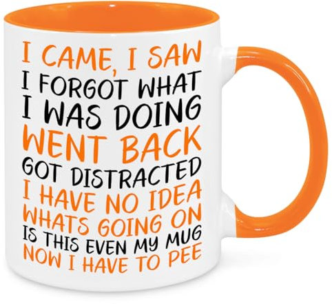 I Came I Saw I Forgot Mug - Funny Novelty Gift Silly Present Mugs for Women Birthday Christmas for Mum Dad Friend Sister for Men Colleague Secret Santa Work Quotes (Orange)