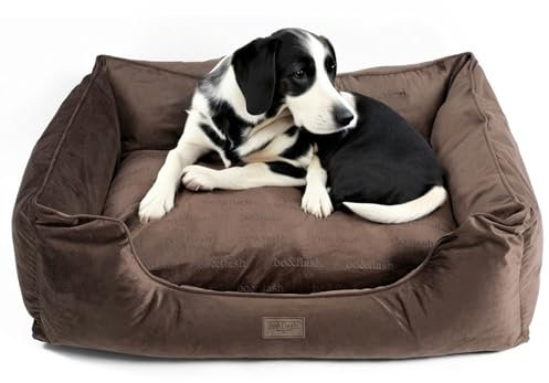 bo&flash Kuscheliges Hundebett Austin 'Taupe' - XL - Hundesofa für Kleine & Große Hunde - Design Waschbar - Gelenkschonend Mit Anti-Rutsch-Beschichtung
