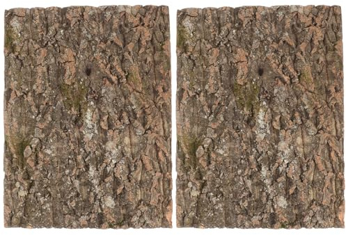 BESPORTBLE 2pièces Écorce De Liège pour Terrarium Fond Naturel Écorce De Liège Décoration pour Reptiles Morceaux pour Habitat De Lézards Tapis Escalade pour Reptiles Panneau Décoratif pour