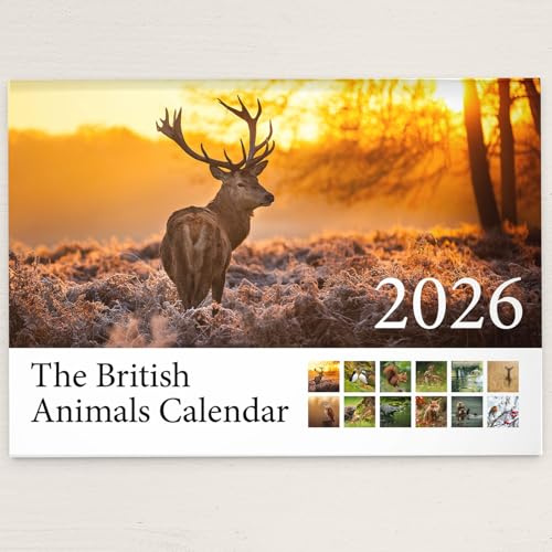 British Animal 2026 Wall Calendar Featuring Stunning Photography of Animals from Britain - Includes All UK & World Holidays & Dates Included | Perfect Christmas Calendar for the Home and Office