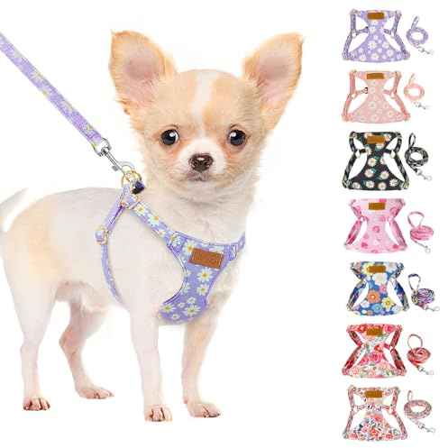 SlowTon Hundegeschirr mit Leine, No-Pull leichtes weiches Wildleder-Welpengeschirr mit Blumenmuster und Schnappschnalle, verstellbares Geschirr Hund für kleine und mittelgroße Hunde