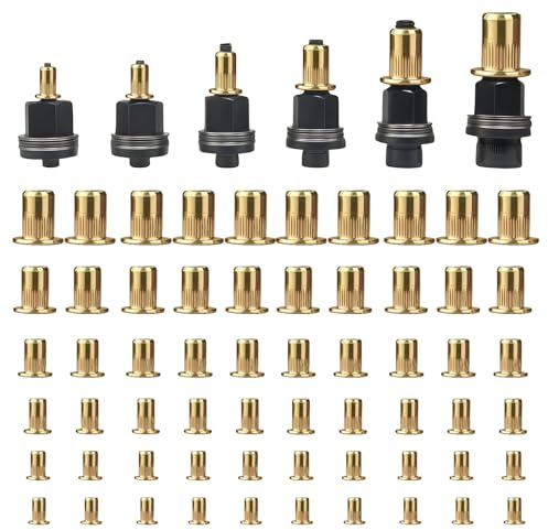 6 Pièces Écrous à tête de Rivet à Main Kit avec 60 écrous Écrous