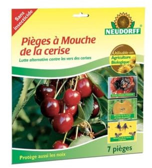 Neudorff Piège à Mouche de la Cerise - Protège les cerises et les noix contre les infestations de vers, dans