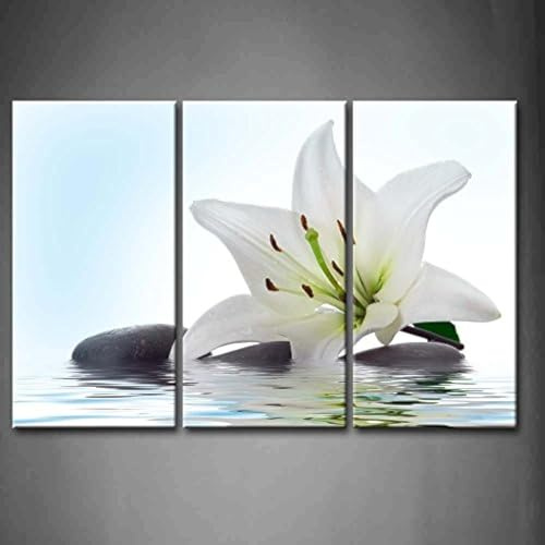 First Wall Art - Flores de Lirio Cuadros en Lienzo Flor Blanca y Piedras en el Agua Decoracion de Pared 3 Piezas Modernos Planta Mural Fotos para Salon,Dormitorio,Baño,Comedor