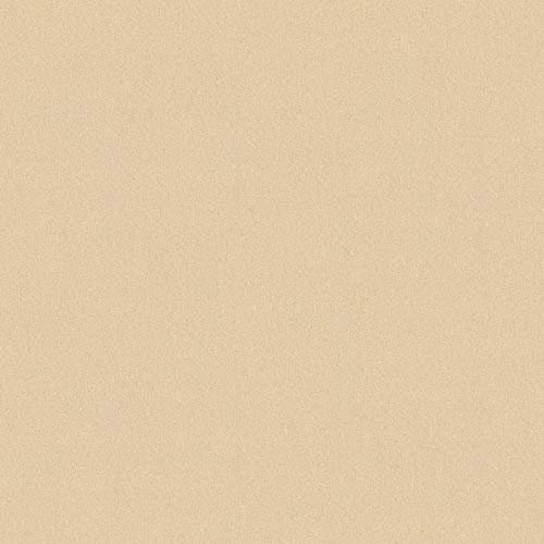 Papier peint uni Papier peint intissé Beige / crème Gris 353160 SP04104 | Papier peint pas cher