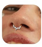 BodyBonita 16G Septum Piercing Schmuck – 316L Edelstahl Nasenring Nasenpiercing mit Zirkonia für Frauen Männer Conch Helix Piercings Tragus Daith Knorpel Ohrpiercing 14 Karat Gold/Silber 8 mm/10 mm