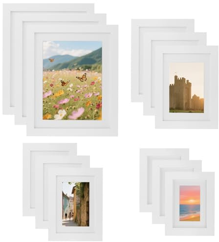 DAKFOOK 12PCS White Picture Frames Set, 10/7/6/5 Inch Multi Size Photo Frames, Gallery Wall Frame Collection with Hanging Hooks, Tabletop Display Home Decor
