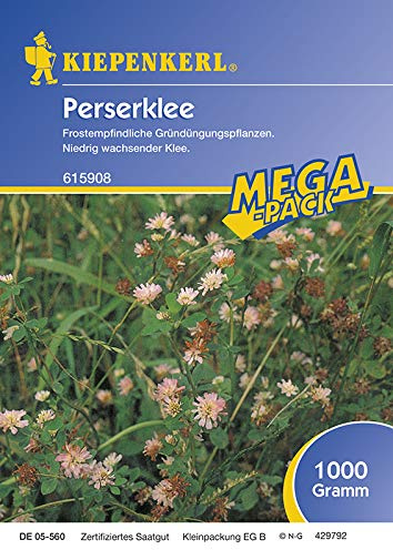 Kiepenkerl