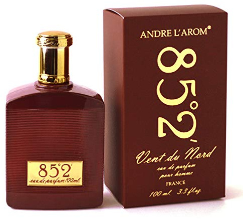 VENT DU NORD Eau de parfum pour homme 100 ml - Fabriqué en France - Produit de Grasse (85°2' (boisé, fougère))