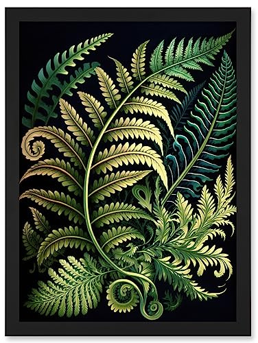 Ernst Haeckel Style Fern Fronds Leaf Illustration Artwork Framed A3 Wall Art Print