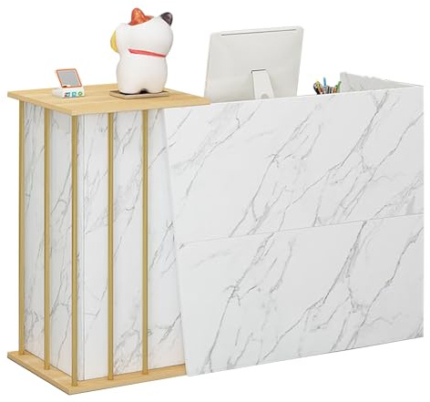 NEYTIIR Empfangstheke Mit 2 Schubladen Und Ablageflächen Empfangstresen,Bürotheke Rezeption Tisch Mit Privatem Panel Für Salon Empfangsraum Kasse(B,120cm)
