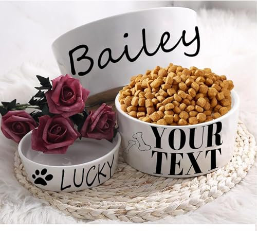 Gamelle personnalisée pour chien - Cadeau personnalisable - Nom de votre animal de compagnie - Gamelles personnalisées pour chien, chat, chiot ou chaton - Pour nourriture sèche et humide ou eau - (L)