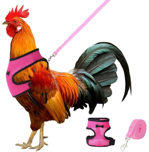 IKOPFLN Harnais avec Laisse réglable et Respirant pour Poules Animaux domestiques Canard oie Promenade Taille M Rose