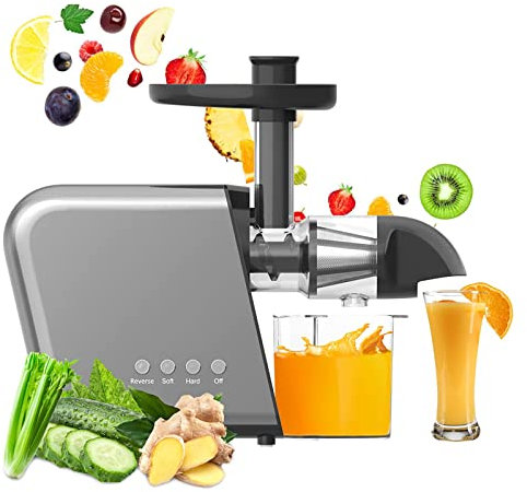 Estrattore di spremiagrumi Lento a Freddo, spremiagrumi Professionale a masticazione lenta, spremiagrumi Verticale ad Alto rendimento Spremiagrumi per Frutta e Verdura