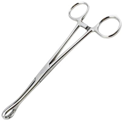 EPIGEIST Runde Piercing Schwammpinzette aus Metall mit Scharnier für Sicheres Greifen und Halten bei Lippen und Genitalpiercings in Silber für Professionelle Piercinganwendung