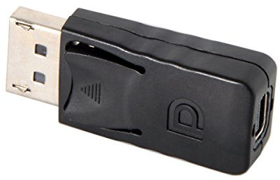 Cablecc - Adattatore DisplayPort a Mini DP DisplayPort maschio a femmina per Apple Display