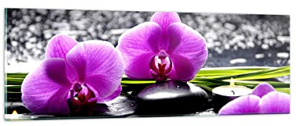 Vidrios decorativos Orquídea naturaleza Agua flor Cuadro Sobre Vidrio Moderno 90x30cm Decoracion Salon Dormitorio Cocina Cuadros Pared Impresiones Impresión en Cristal Wall Art Prints GAB90x30-2658