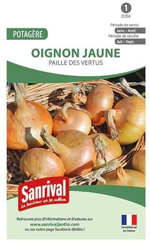 Graines Oignon Jaune Paille des Vertus