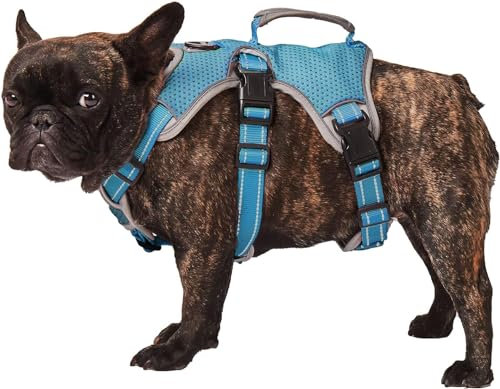 Paworld Sicherheitsgeschirr Hund Ausbruchsicher, Panikgeschirr für Hunde, Mehrzweck-Hundegeschirr, Reflektierend, Verstellbare Weste mit Griff, Hundegeschirr für Große/Mittelgroß Hunde (Blau, L)