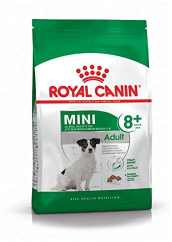RoyalCanin Mini Adult 8 kg 8 +. Mat för små hundar och leksaker, smaksatt gastrointestinalt foder som kontrollerar vikten, tar bort tandsten och upprätthåller friskt hår och hud