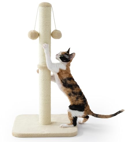 Lesure Kratzsäule Mittelgroßer für Katzen Indoor 36x36x74cm | Kratzstamm mit Hängendem Spielball, Kleiner Kratzbaum mit Sisalseil, Stabile Basis Kratzsäule, Beige