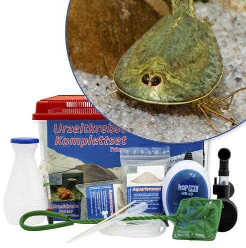 AQ4Aquaristik Triops mauritanicus (grün) Komplettset 6 l mit Urzeitkrebseiern: Aquarium, Zuchtansatz, Filter, Luftpumpe, Zubehör, Futter und Anleitung,
