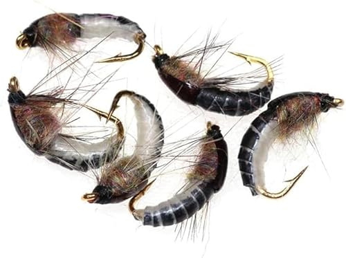 6 Pcs Brown Realistic Nymph Scud Fly for Trout Fishing Artificial Insect Bait Lure Fishing Tackle Soft Plastic Lures Outdoor